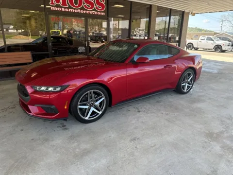 Red 2024 Ford Mustang EcoBoost for sale in South Pittsburg, TN