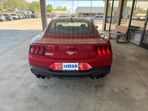 More photos of 2024 Ford Mustang EcoBoost at Moss Motor Company, TN