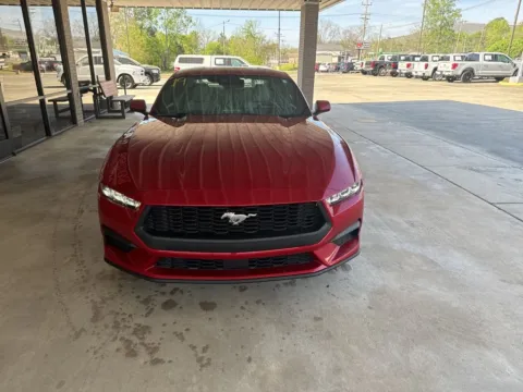 Photos of 2024 Ford Mustang EcoBoost for sale in South Pittsburg, TN at Moss Motor Company