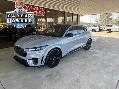 Gray 2025 Ford Mustang Mach-E GT for sale in South Pittsburg, TN