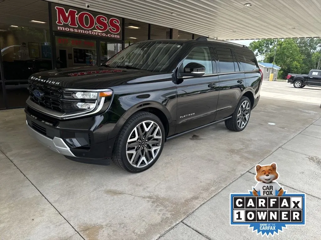 2025 Ford Expedition Platinum 4x4's photo