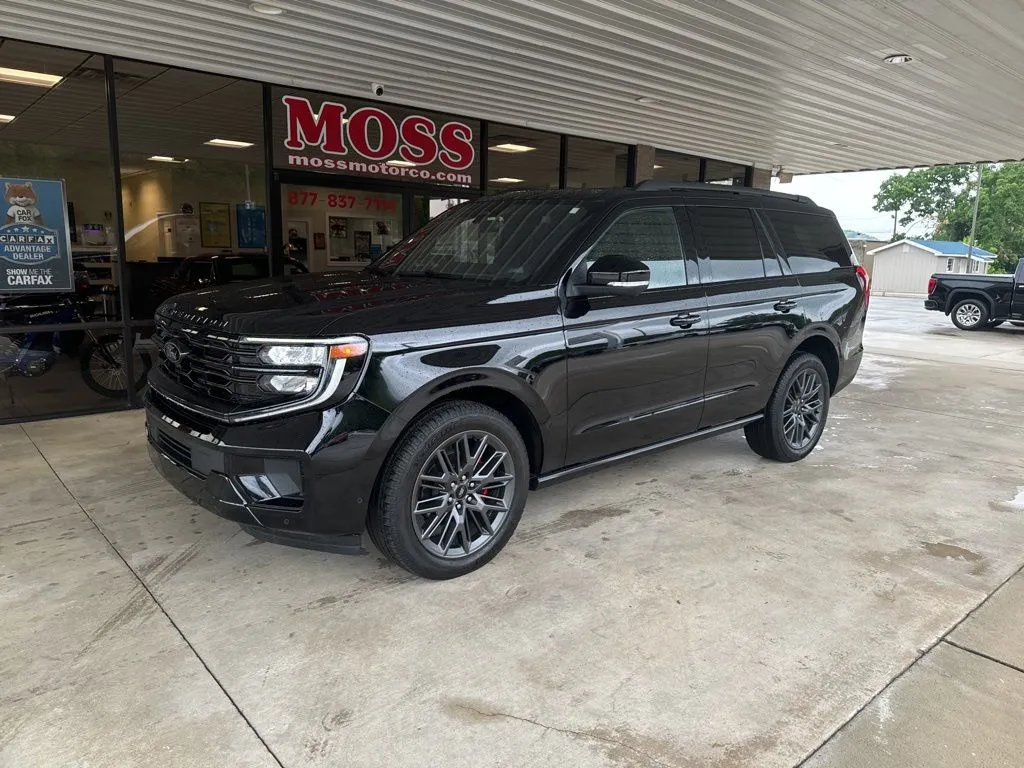 2025 Ford Expedition Platinum 4x4's photo