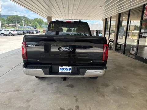 More photos of 2025 Ford F-150 XL at Moss Motor Company, TN