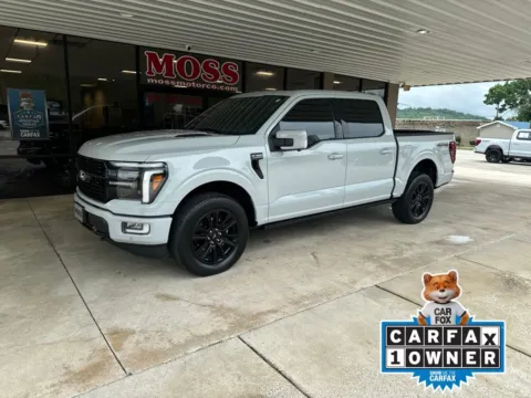 Gray 2024 Ford F-150 Platinum for sale in South Pittsburg, TN