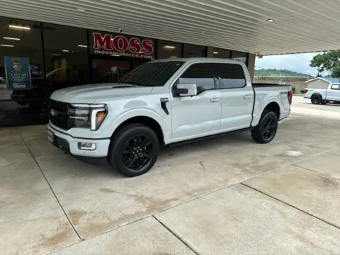 Gray 2024 Ford F-150 Platinum for sale in South Pittsburg, TN
