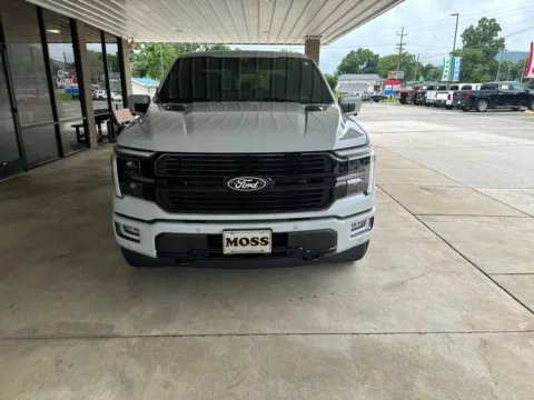 Photos of 2024 Ford F-150 Platinum for sale in South Pittsburg, TN at Moss Motor Company
