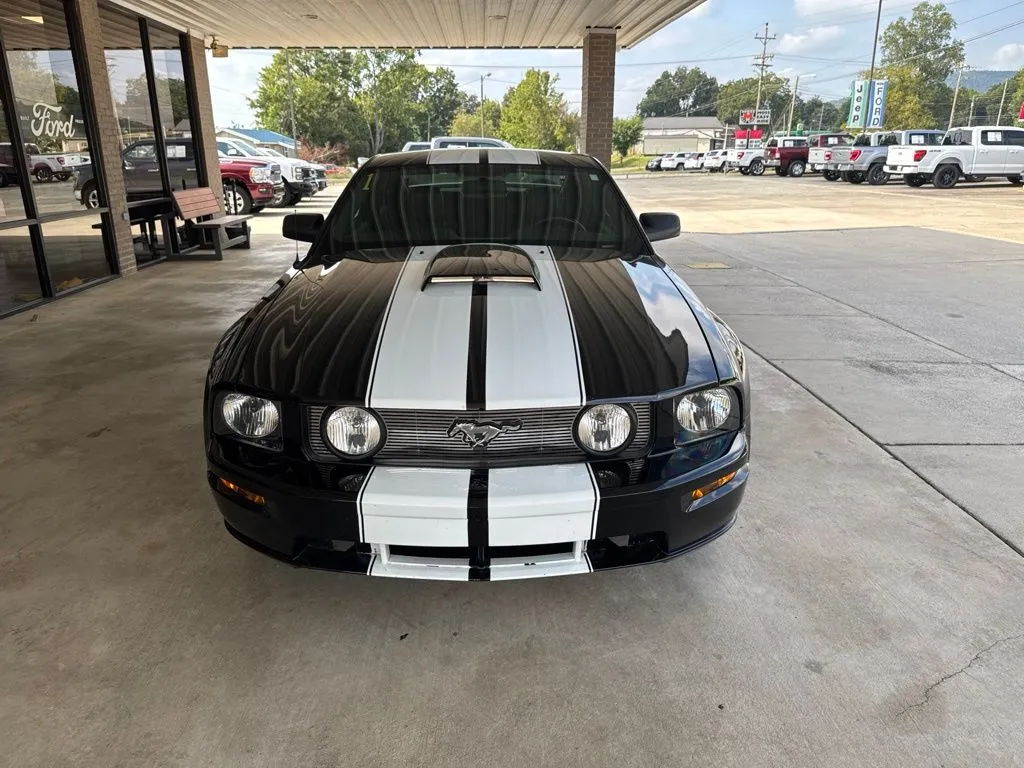 Used 2006 Ford Mustang GT Premium with VIN 1ZVHT82H165257950 for sale in South Pittsburg, TN