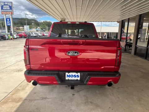 More photos of 2024 Ford F-150 XLT at Moss Motor Company, TN