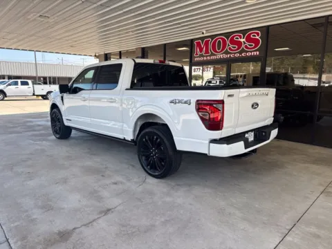 More photos of 2025 Ford F-150 Platinum at Moss Motor Company, TN
