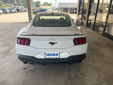 More photos of 2025 Ford Mustang EcoBoost at Moss Motor Company, TN