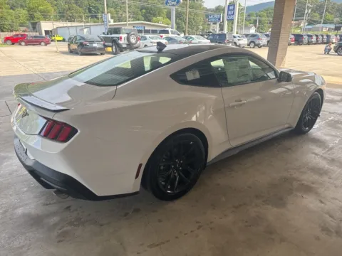 More photos of 2025 Ford Mustang EcoBoost at Moss Motor Company, TN