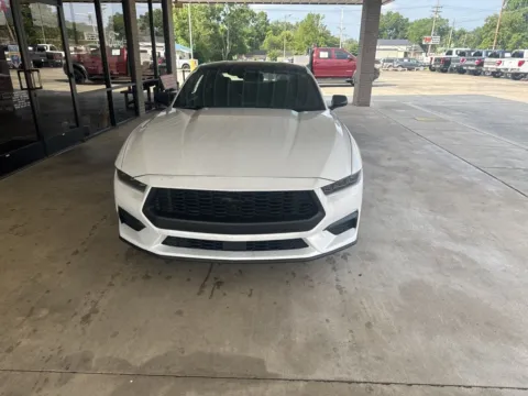 Photos of 2025 Ford Mustang EcoBoost for sale in South Pittsburg, TN at Moss Motor Company