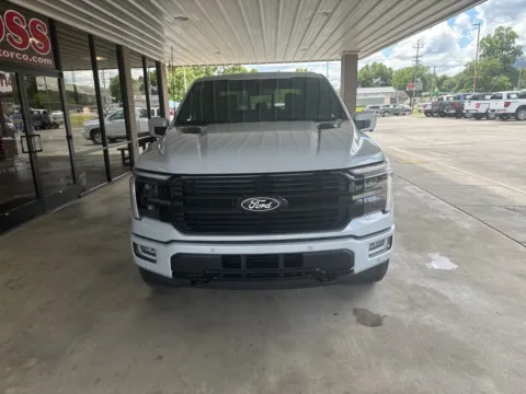 Photos of 2025 Ford F-150 Platinum for sale in South Pittsburg, TN at Moss Motor Company