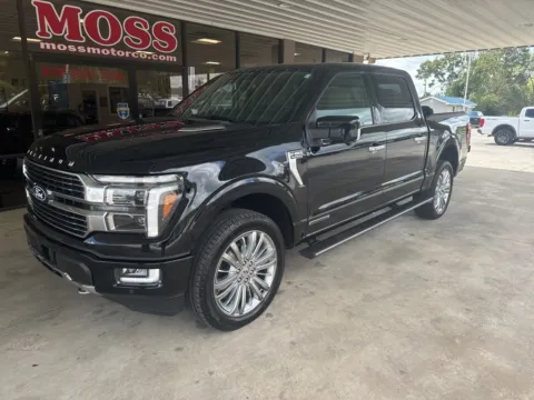 Black 2024 Ford F-150 Platinum for sale in South Pittsburg, TN