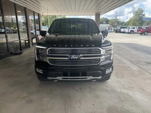 Photos of 2024 Ford F-150 Platinum for sale in South Pittsburg, TN at Moss Motor Company