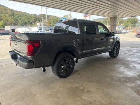 More photos of 2025 Ford F-150 STX at Moss Motor Company, TN