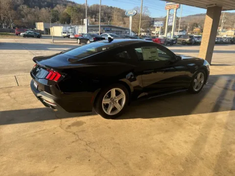 More photos of 2026 Ford Mustang EcoBoost at Moss Motor Company, TN