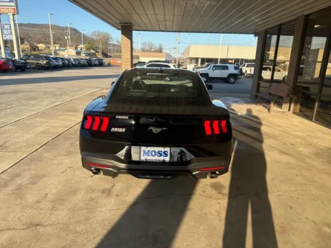 More photos of 2026 Ford Mustang EcoBoost at Moss Motor Company, TN