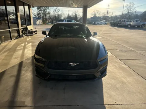 Photos of 2026 Ford Mustang EcoBoost for sale in South Pittsburg, TN at Moss Motor Company