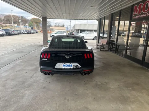 More photos of 2025 Ford Mustang EcoBoost Premium at Moss Motor Company, TN