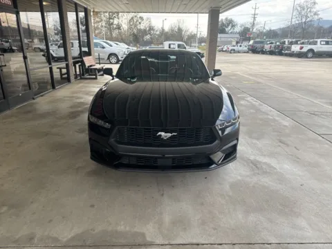 Photos of 2025 Ford Mustang EcoBoost Premium for sale in South Pittsburg, TN at Moss Motor Company