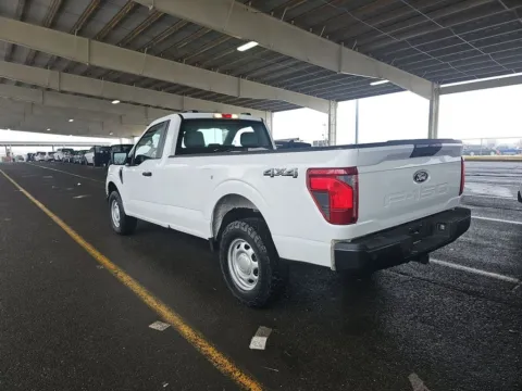 More photos of 2024 Ford F-150 XL at Cassill Motors, IA
