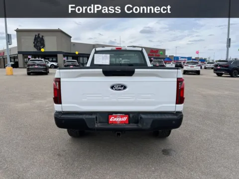 More photos of 2024 Ford F-150 XL at Cassill Motors, IA