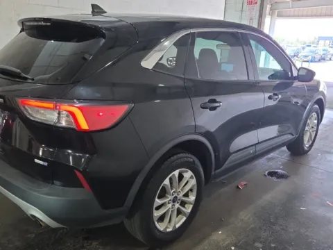 More photos of 2020 Ford Escape SE at Cassill Motors, IA