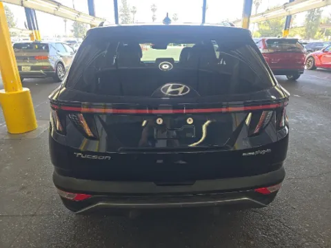More photos of 2024 Hyundai Tucson Plug-In Hybrid Limited at Cassill Motors, IA