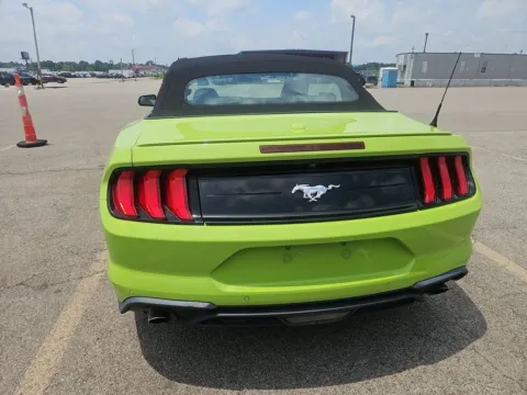 More photos of 2020 Ford Mustang EcoBoost Premium at Cassill Motors, IA