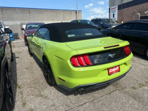 Photos of 2020 Ford Mustang EcoBoost Premium for sale in Cedar Rapids, IA at Cassill Motors