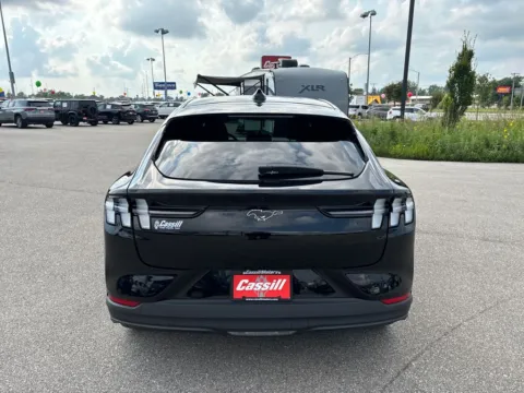More photos of 2025 Ford Mustang Mach-E Premium at Cassill Motors, IA