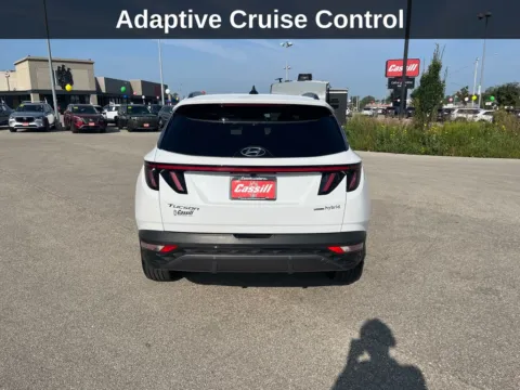 More photos of 2024 Hyundai Tucson Hybrid Limited at Cassill Motors, IA