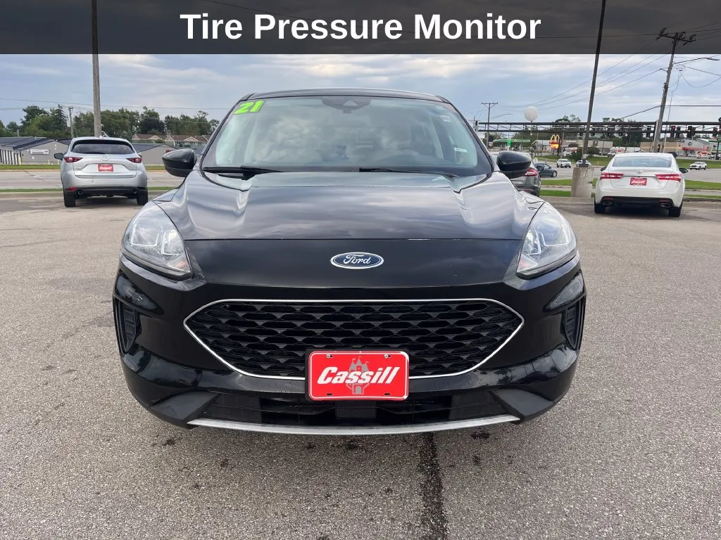 Ford Escape photo 10