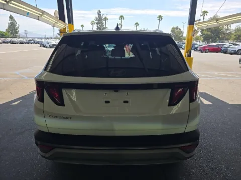 More photos of 2025 Hyundai Tucson SEL at Cassill Motors, IA