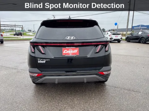 More photos of 2024 Hyundai Tucson Limited at Cassill Motors, IA