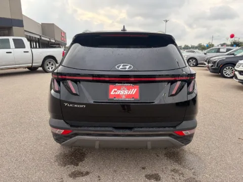 More photos of 2024 Hyundai Tucson Limited at Cassill Motors, IA