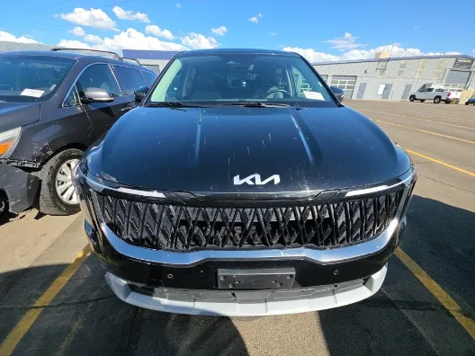 Kia Carnival photo 7