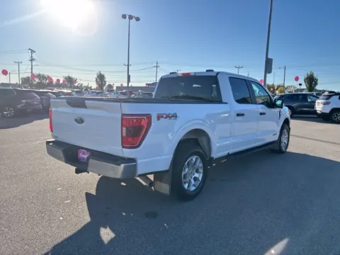 More photos of 2023 Ford F-150 XLT at Cassill Motors, IA