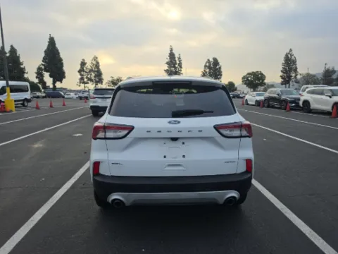 More photos of 2021 Ford Escape SEL at Cassill Motors, IA