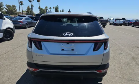 More photos of 2024 Hyundai Tucson SEL at Cassill Motors, IA