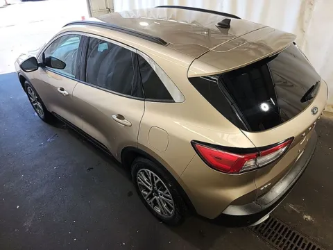 More photos of 2020 Ford Escape SEL at Cassill Motors, IA
