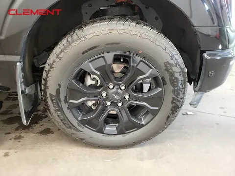 More photos of 2023 Ford F-150 Platinum at Clement Supercenter, MO