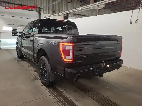 More photos of 2023 Ford F-150 Platinum at Clement Supercenter, MO