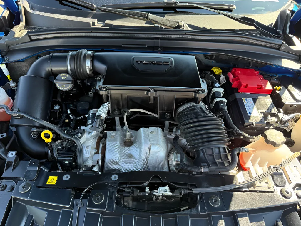 Dodge Hornet photo 29