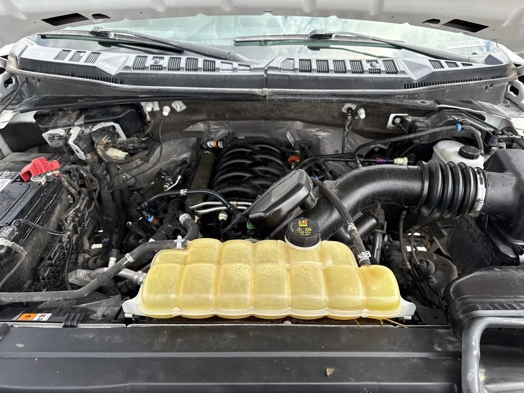 2020 Ford F-150 XL photo 14