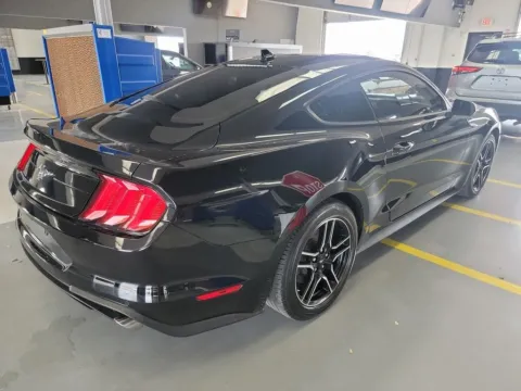 More photos of 2021 Ford Mustang EcoBoost at RightDrive - El Paso, TX