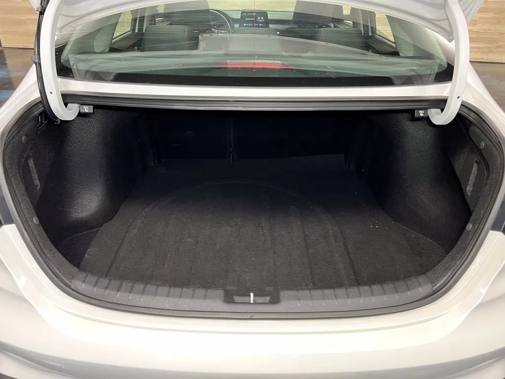 Kia Forte photo 19