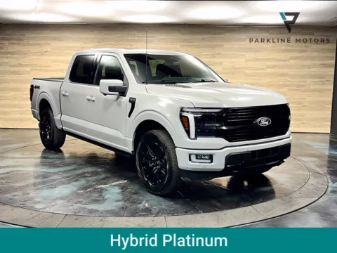 Gray 2024 Ford F-150 Platinum for sale in Salt Lake City, UT