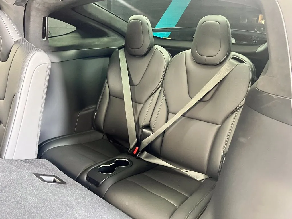 Tesla Model X photo 22